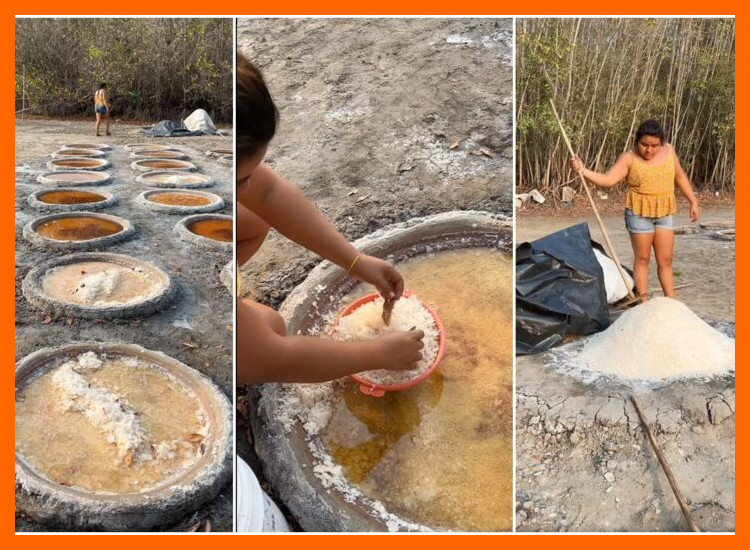 1. Las Salinas de la Costa: Técnicas Ancestrales de Extracción