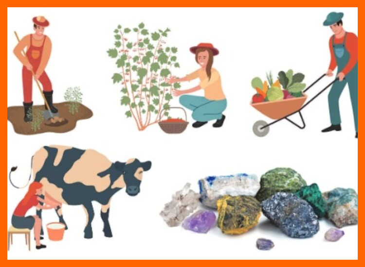 1. Materiales y procedencia: la sacralización de la materia prima