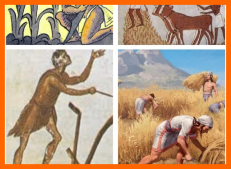 2. Sustento y cosmovisión: más allá de la agricultura