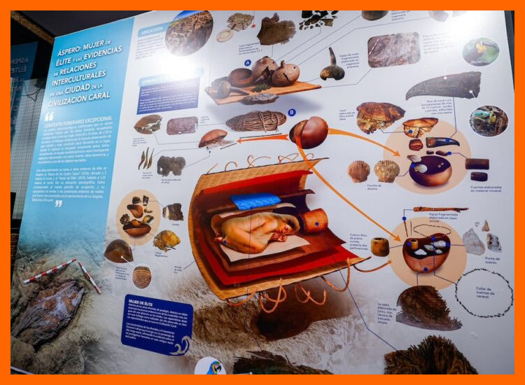 3. Contextos de hallazgo: ofrendas, ajuar y exhibición
