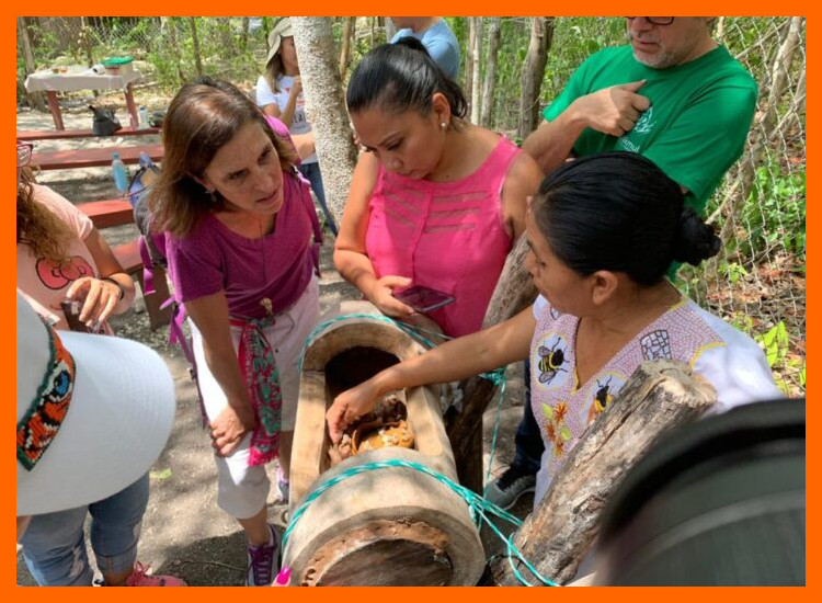 3. Desarrollo de un Turismo Comunitario y Sostenible