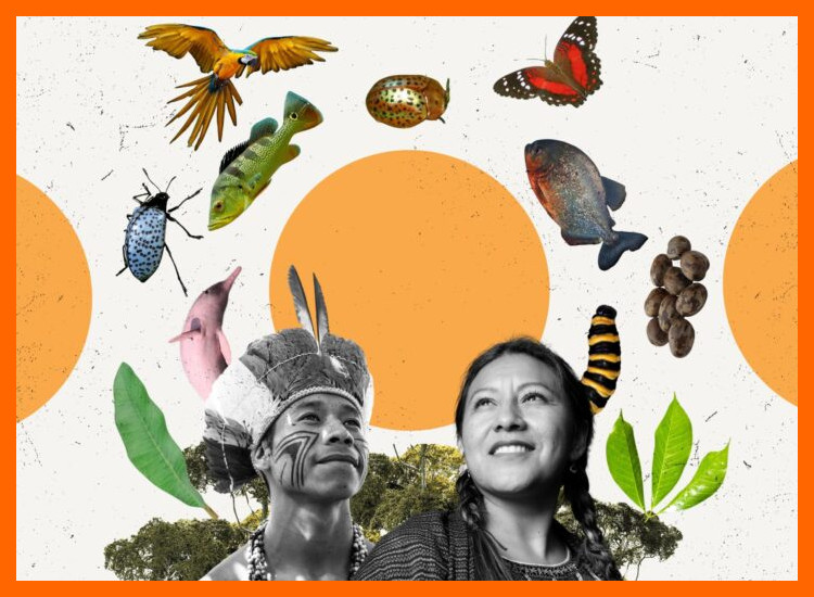 3. Participación Comunitaria y Saberes Ancestrales