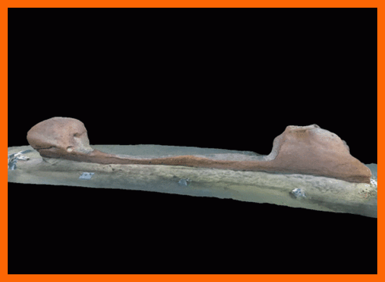 3. Tipología de Hallazgos Arqueológicos Subacuáticos