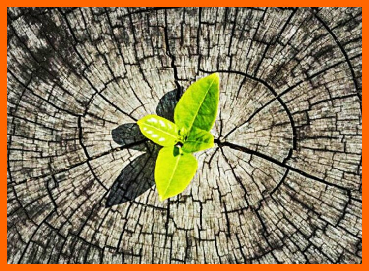 4. Adaptación y Resiliencia de las Narrativas en el Mundo Contemporáneo