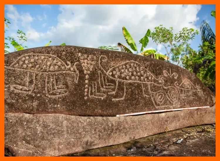 4. Ciclos agrícolas en la Amazonía y su sincronización