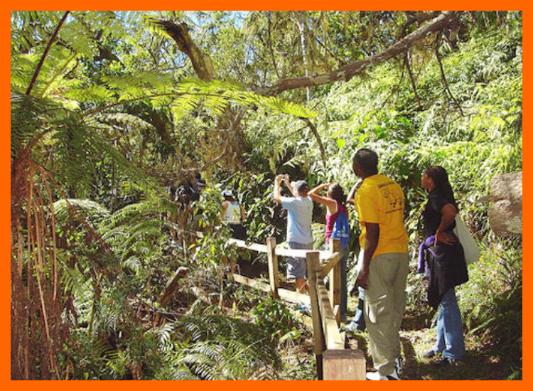 4. Turismo Sostenible como Herramienta de Conservación