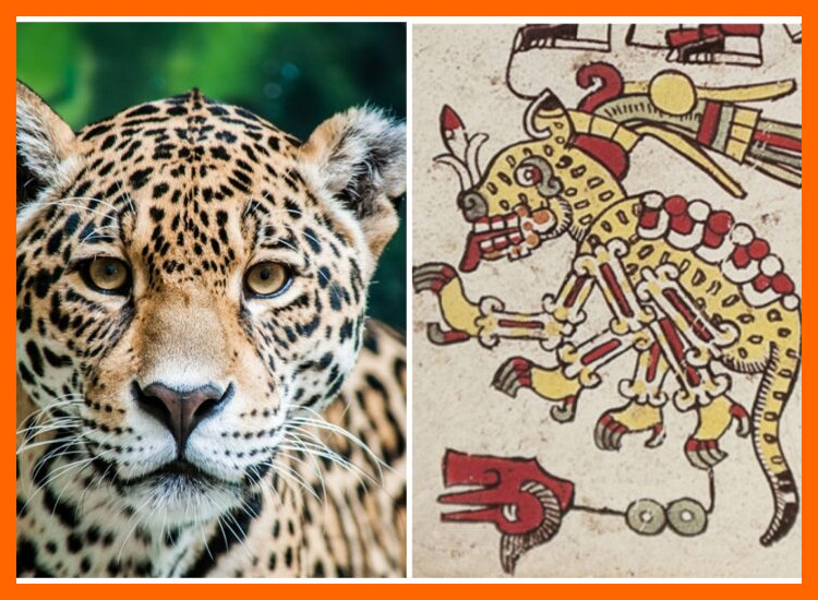 ¿Cómo se interpreta el papel simbólico del jaguar dentro de los sistemas de creencias y la cosmovisión indígena reflejada en estos artefactos?
