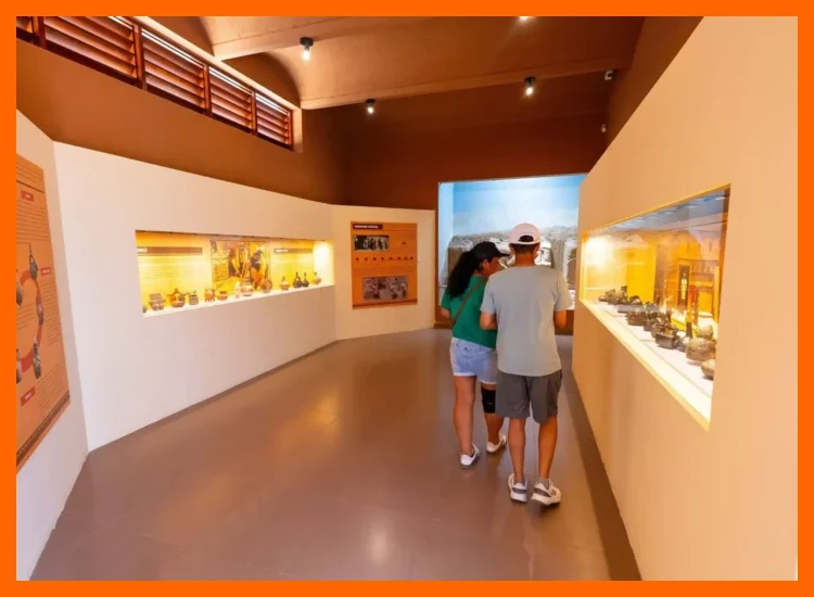 ¿Cuál es el papel de un museo de sitio como centro de investigación?