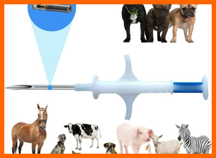 Distinguir la Presa: Identificación de Recursos Animales y Lácteos