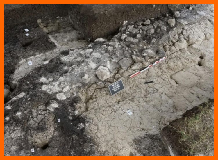 ¿En qué consiste el método arqueológico de estudio de los basureros antiguos (tiraderos o middens) y qué información específica sobre patrones de consumo puede revelar?