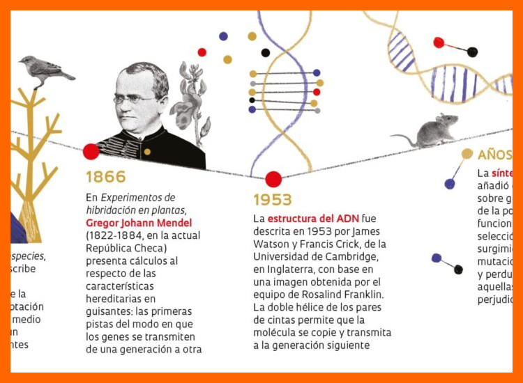 ¿En qué se diferencian estas hipótesis de la visión tradicional sobre el origen del oro en el área?