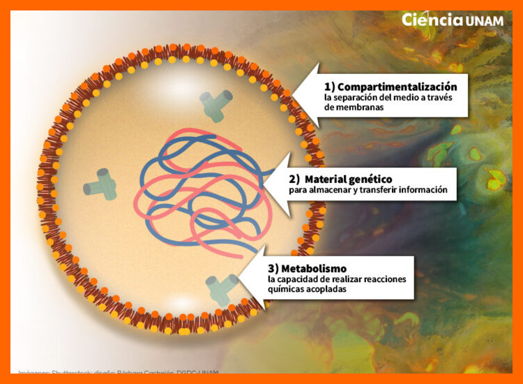 La Química de la Sobremesa Prehistórica: Fundamentos del Método