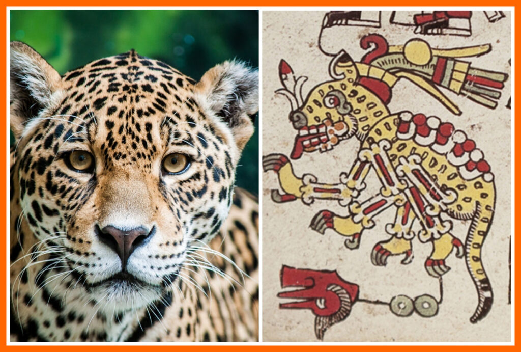 La simbolización del jaguar en los sellos y pintaderas del período de integración - La simbolización del