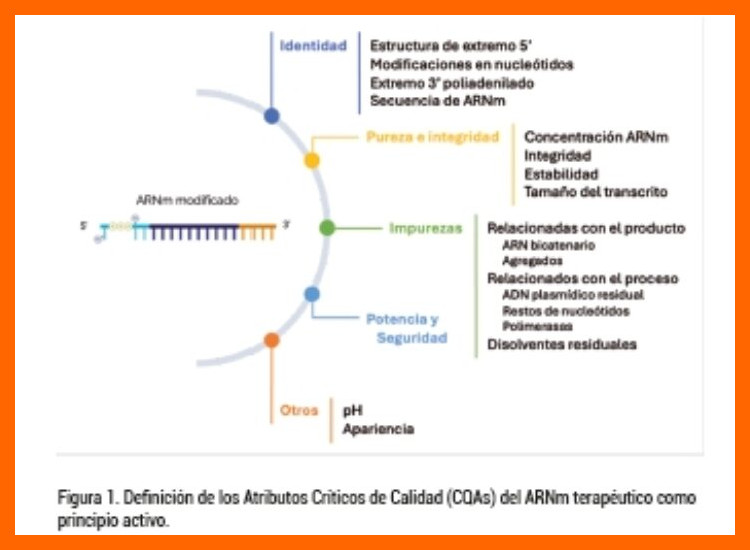 Limitaciones y Desafíos en la Interpretación Molecular