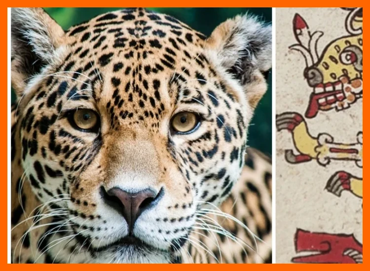 ¿Por qué el jaguar era un símbolo tan predominante en los sellos y pintaderas de este período?
