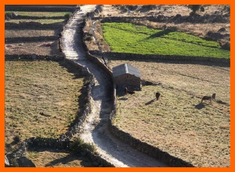 ¿Por qué fue crucial esta red de caminos para el desarrollo y conexión de las civilizaciones precolombinas?