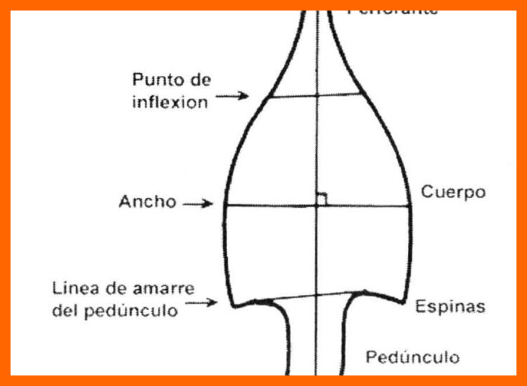 ¿Qué define específicamente un taller lítico en el contexto del estudio de la tecnología de producción de puntas de proyectil?