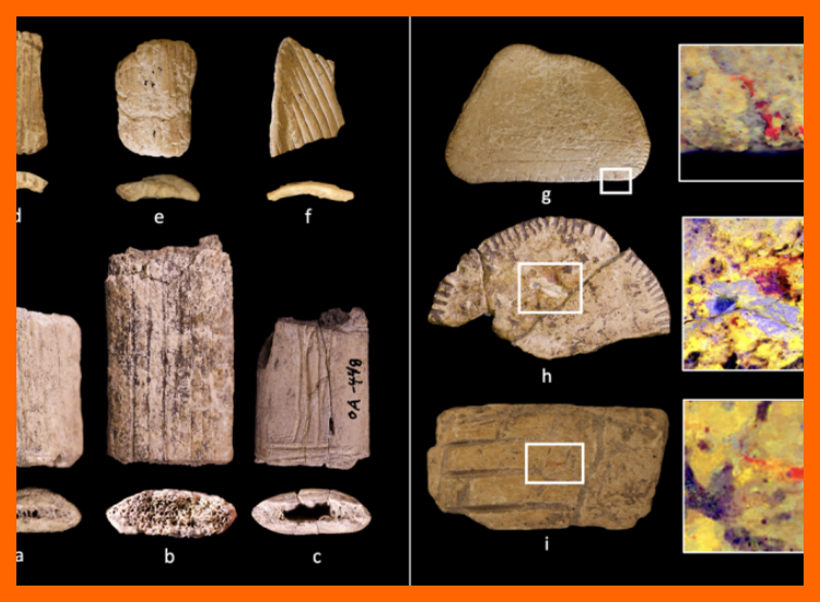 ¿Qué evidencia arqueológica existe sobre la organización social y el destino de las poblaciones que habitaron la cuenca del río Upano?