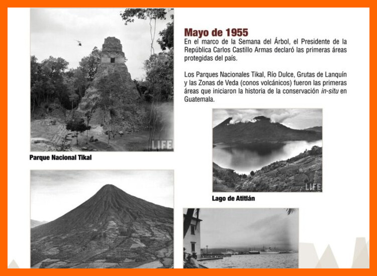 ¿Qué normativa específica protege el patrimonio arqueológico dentro de los parques nacionales del oriente ecuatoriano?