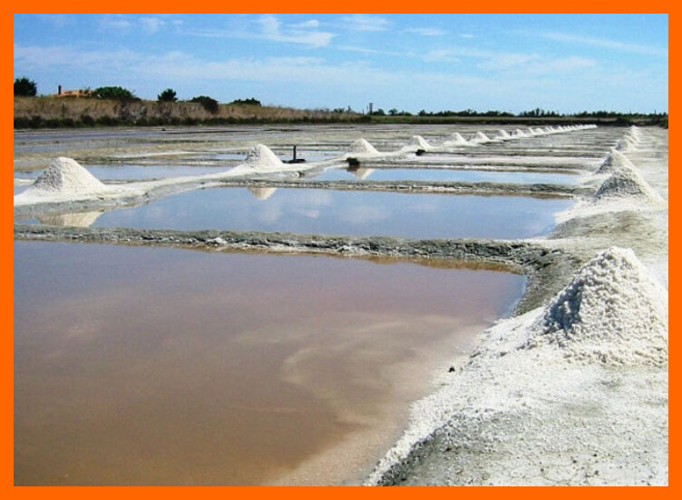 ¿Qué tipos de yacimientos o recursos (salinas costeras, manantiales salados) se utilizaban para la obtención de sal en la región litoral?